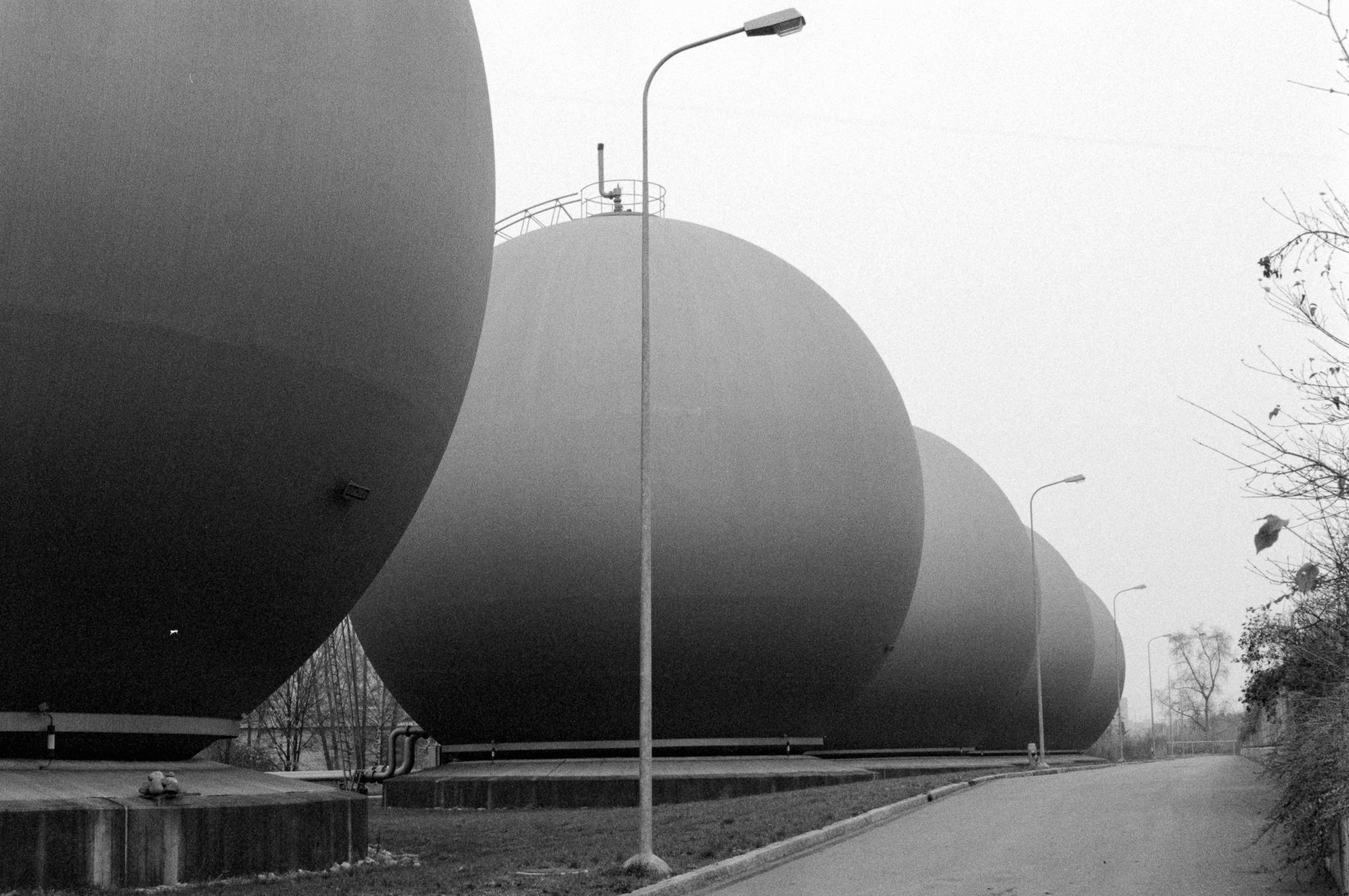 AHP F1994 11 004 sc250521 img29 NLP